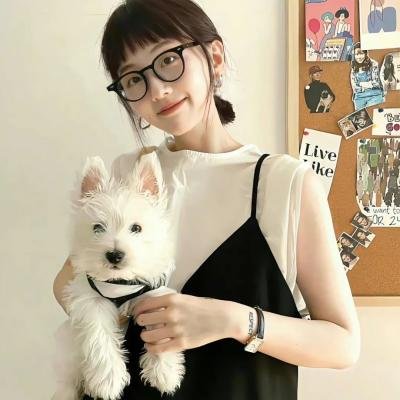 盖世霸王
